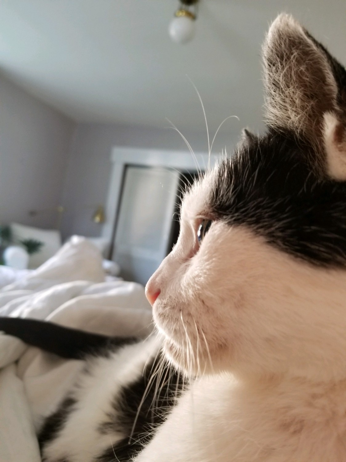 Pensive Gus Pensive Gus