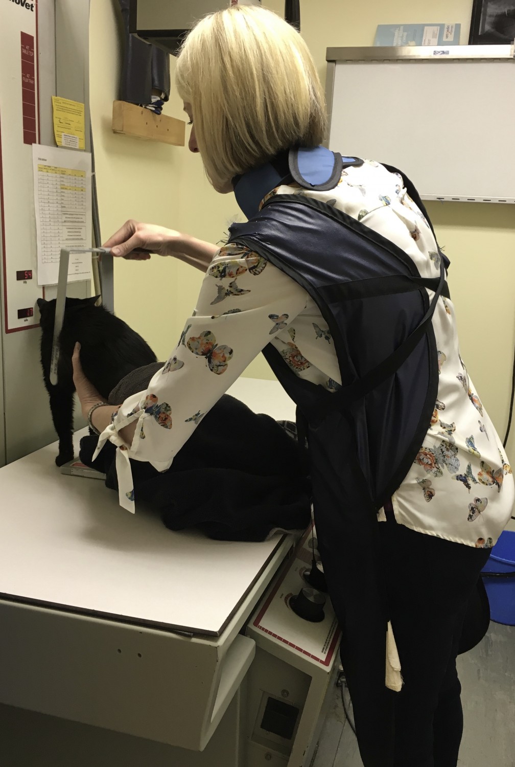 Dr. Kronland preparing to take a radiograph of a patient Dr. Kronland preparing to take a radiograph of a patient